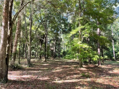 Cooper's Point provides access to a community deep water dock on Sapelo Hammock Golf Club in Georgia - for sale on GolfHomes.com, golf home, golf lot