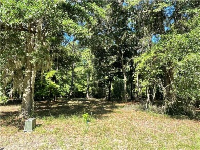 Cooper's Point provides access to a community deep water dock on Sapelo Hammock Golf Club in Georgia - for sale on GolfHomes.com, golf home, golf lot