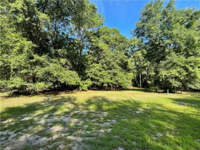 Cooper's Point provides access to a community deep water dock on Sapelo Hammock Golf Club in Georgia - for sale on GolfHomes.com, golf home, golf lot