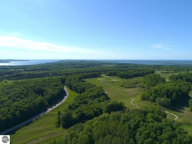 Large 1.2 Acre Lot.  Beautifully wooded - sweeping views of golf on Champion Hill Golf Club in Michigan - for sale on GolfHomes.com, golf home, golf lot