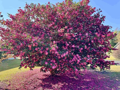 Looking for a gorgeous family home in a highly desirable on Wedgefield Plantation Golf Club in South Carolina - for sale on GolfHomes.com, golf home, golf lot