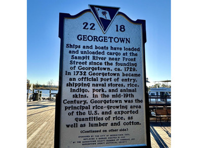 Looking for a gorgeous family home in a highly desirable on Wedgefield Plantation Golf Club in South Carolina - for sale on GolfHomes.com, golf home, golf lot