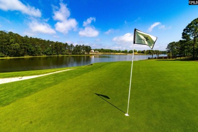 Better than brand new! Welcome to 150 Backspin Dr, nestled in on The Members Club At Woodcreek in South Carolina - for sale on GolfHomes.com, golf home, golf lot