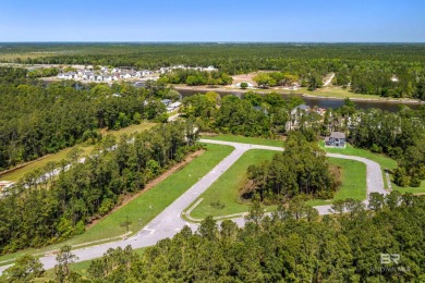 BUILDER WILL INCLUDE REFRIGERATOR AND BLINDS FOR ANY BUYER WHO on The Golf Club of the Wharf in Alabama - for sale on GolfHomes.com, golf home, golf lot