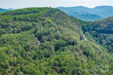 Discover your dream retreat on this stunning 0.95-acre wooded on The Cliffs Valley in North Carolina - for sale on GolfHomes.com, golf home, golf lot