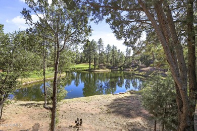 ~BEST VIEWS OF GOLF & WATER~COURSE SIGNATURE FEATURE~Canopied w/ on The Golf Club At Chaparral Pines in Arizona - for sale on GolfHomes.com, golf home, golf lot