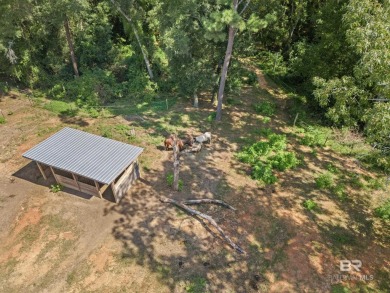 Your Dream Home Awaits--Spacious, Updated  Ready for Your on Lake Forest Yacht and Country Club in Alabama - for sale on GolfHomes.com, golf home, golf lot