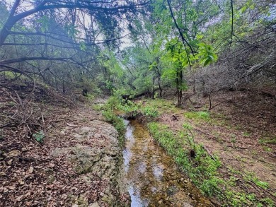 Rare opportunity to own TWO ADJACENT LOTS totaling approx. 1.28 on White Bluff Resort - Old Course in Texas - for sale on GolfHomes.com, golf home, golf lot