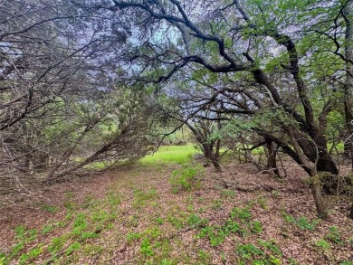 Rare opportunity to own TWO ADJACENT LOTS totaling approx. 1.28 on White Bluff Resort - Old Course in Texas - for sale on GolfHomes.com, golf home, golf lot