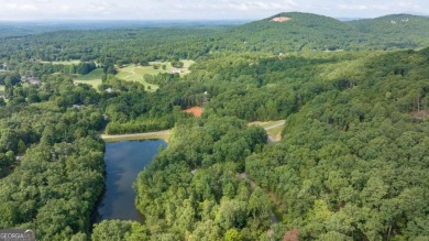 Discover The Orchard - A Premier Golf Course Community. Nestled on The Orchard Golf and Country Club in Georgia - for sale on GolfHomes.com, golf home, golf lot