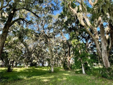 Lot 16 at Sutherland Bluff Plantation is conveniently located on Sapelo Hammock Golf Club in Georgia - for sale on GolfHomes.com, golf home, golf lot