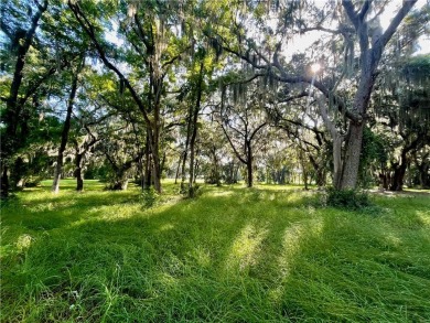 Lot 16 at Sutherland Bluff Plantation is conveniently located on Sapelo Hammock Golf Club in Georgia - for sale on GolfHomes.com, golf home, golf lot