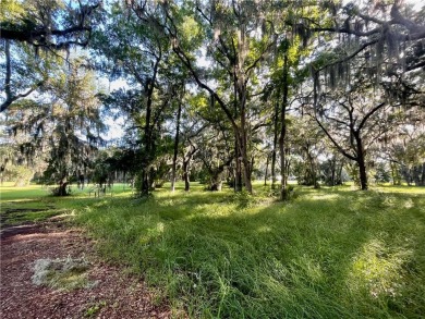 Lot 16 at Sutherland Bluff Plantation is conveniently located on Sapelo Hammock Golf Club in Georgia - for sale on GolfHomes.com, golf home, golf lot