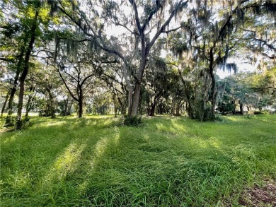 Lot 16 at Sutherland Bluff Plantation is conveniently located on Sapelo Hammock Golf Club in Georgia - for sale on GolfHomes.com, golf home, golf lot