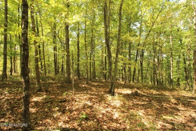 Seize the chance to create your perfect home in the heart of on Heatherhurst Golf Course in Tennessee - for sale on GolfHomes.com, golf home, golf lot