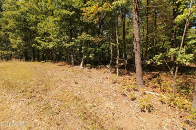 Seize the chance to create your perfect home in the heart of on Heatherhurst Golf Course in Tennessee - for sale on GolfHomes.com, golf home, golf lot