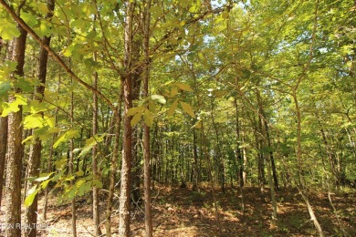Seize the chance to create your perfect home in the heart of on Heatherhurst Golf Course in Tennessee - for sale on GolfHomes.com, golf home, golf lot