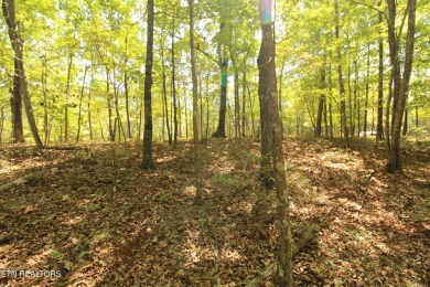 Seize the chance to create your perfect home in the heart of on Heatherhurst Golf Course in Tennessee - for sale on GolfHomes.com, golf home, golf lot