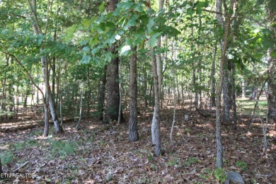 Embrace the serene lifestyle of Fairfield Glade with this prime on Heatherhurst Golf Course in Tennessee - for sale on GolfHomes.com, golf home, golf lot