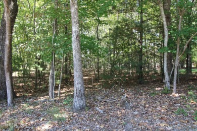 Embrace the serene lifestyle of Fairfield Glade with this prime on Heatherhurst Golf Course in Tennessee - for sale on GolfHomes.com, golf home, golf lot