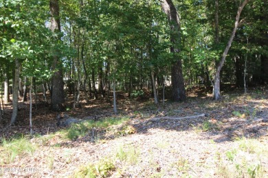 Embrace the serene lifestyle of Fairfield Glade with this prime on Heatherhurst Golf Course in Tennessee - for sale on GolfHomes.com, golf home, golf lot