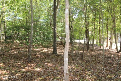 Embrace the serene lifestyle of Fairfield Glade with this prime on Heatherhurst Golf Course in Tennessee - for sale on GolfHomes.com, golf home, golf lot