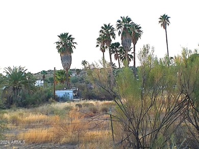 Half acre lot across from the back Nine of the Queen Valley Golf on Queen Valley Golf Course in Arizona - for sale on GolfHomes.com, golf home, golf lot