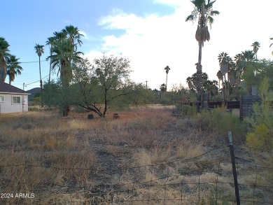 Half acre lot across from the back Nine of the Queen Valley Golf on Queen Valley Golf Course in Arizona - for sale on GolfHomes.com, golf home, golf lot