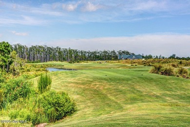 Discover the charm of low-maintenance living in this beautifully on Cape Fear National At Brunswick Forest in North Carolina - for sale on GolfHomes.com, golf home, golf lot