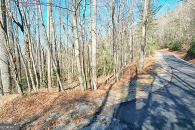 SOIL TEST COMPLETED! Discover the tranquility of Walking Bear on Sky Valley Resort and Country Club in Georgia - for sale on GolfHomes.com, golf home, golf lot