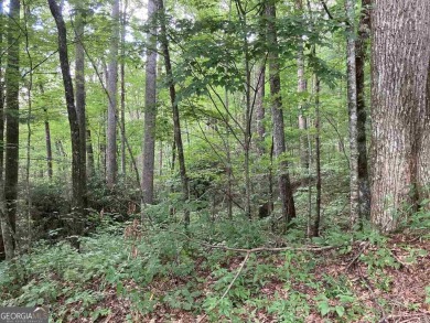 SOIL TEST COMPLETED! Discover the tranquility of Walking Bear on Sky Valley Resort and Country Club in Georgia - for sale on GolfHomes.com, golf home, golf lot