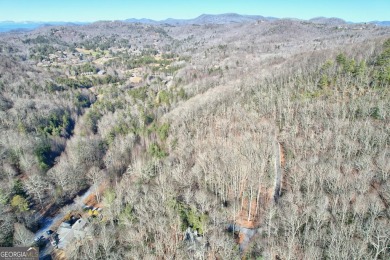 SOIL TEST COMPLETED! Discover the tranquility of Walking Bear on Sky Valley Resort and Country Club in Georgia - for sale on GolfHomes.com, golf home, golf lot