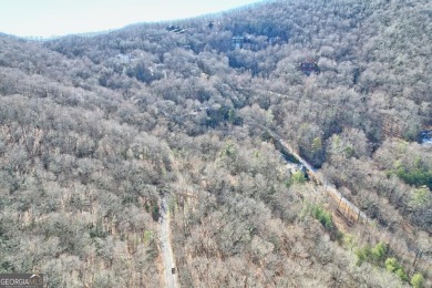 SOIL TEST COMPLETED! Discover the tranquility of Walking Bear on Sky Valley Resort and Country Club in Georgia - for sale on GolfHomes.com, golf home, golf lot