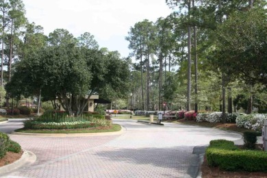 Home sites are almost sold out so don't miss this opportunity to on The Club At Osprey Cove in Georgia - for sale on GolfHomes.com, golf home, golf lot