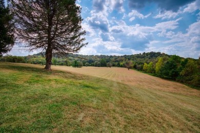 Commercially zoned land for sale in Noble County, Ohio. This on Whiskey Run Golf Course in Ohio - for sale on GolfHomes.com, golf home, golf lot