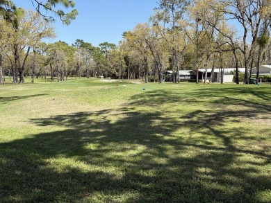 Located in Rolling Greens Village, a 55+ community in Ocala on Rolling Greens Executive Golf Community in Florida - for sale on GolfHomes.com, golf home, golf lot