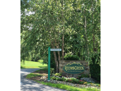Meticulously cared-for home mixes elegance w/ comfort in this on Reems Creek Golf Club in North Carolina - for sale on GolfHomes.com, golf home, golf lot