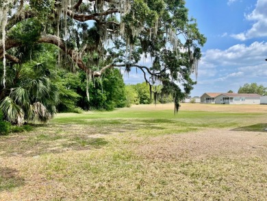 Welcome home to this 1994 single wide manufactured home, which on Golden Lakes Golf Course in Florida - for sale on GolfHomes.com, golf home, golf lot