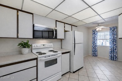 Welcome to easy, carefree living in the 55+ active adult on Sun City-Willow Creek / Willow Brook  in Arizona - for sale on GolfHomes.com, golf home, golf lot