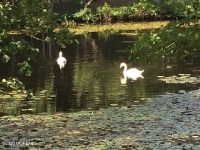 Beautifully renovated 2BR, 1BA condo in the desirable Leisure on Greenbriar Woodlands in New Jersey - for sale on GolfHomes.com, golf home, golf lot