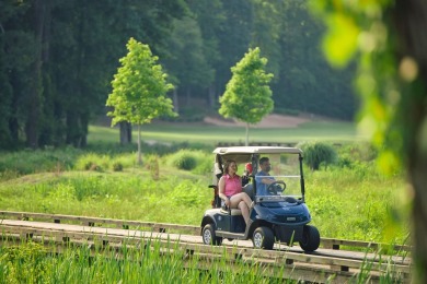 Wooded private homesite in Harbor Club. One of only a few on Harbor Club Golf and Country Club in Georgia - for sale on GolfHomes.com, golf home, golf lot