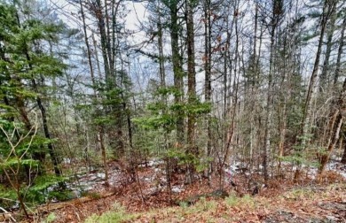 Private wooded 1.24 acre lot in established subdivision.  Only on Bucksport Golf and Country Club in Maine - for sale on GolfHomes.com, golf home, golf lot