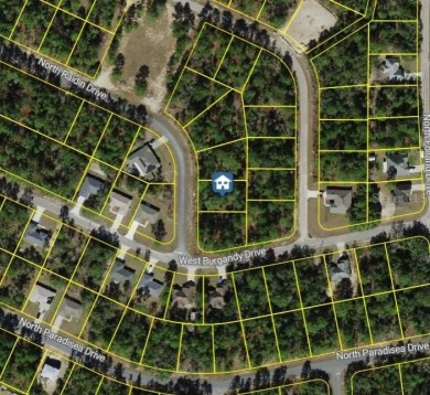 Start your next chapter in up and coming Citrus Springs. This on Citrus Springs Country Club in Florida - for sale on GolfHomes.com, golf home, golf lot