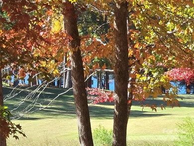 This golf course lot is located on the 10th fairway of the Old on Old North State Club at Uwharrie Point Golf community in North Carolina - for sale on GolfHomes.com, golf home, golf lot