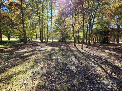 This golf course lot is located on the 10th fairway of the Old on Old North State Club at Uwharrie Point Golf community in North Carolina - for sale on GolfHomes.com, golf home, golf lot