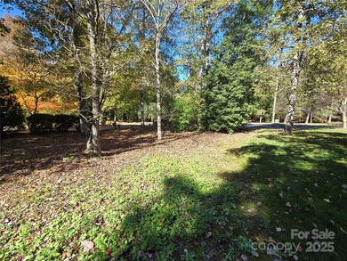 This golf course lot is located on the 10th fairway of the Old on Old North State Club at Uwharrie Point Golf community in North Carolina - for sale on GolfHomes.com, golf home, golf lot