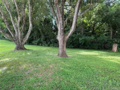 55+ resident owned gated golf course community.*PRICE REDUCED* on Zellwood Station Country Club in Florida - for sale on GolfHomes.com, golf home, golf lot