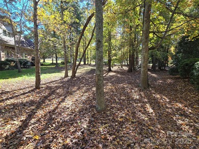 This golf course lot is located on the 10th fairway of the Old on Old North State Club at Uwharrie Point Golf community in North Carolina - for sale on GolfHomes.com, golf home, golf lot