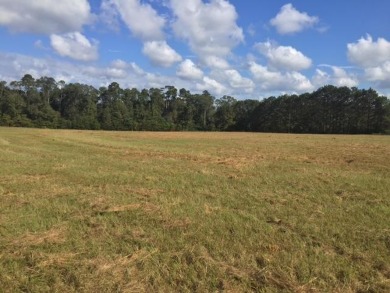 30 acres of prime commercial or residential land for sale in on Fernwood Country Club in Mississippi - for sale on GolfHomes.com, golf home, golf lot