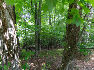 2 Acres Lots in Champion Hills Golf Community on Champion Hills Club, Inc. in North Carolina - for sale on GolfHomes.com, golf home, golf lot